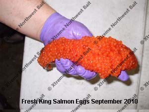 Fresh Salmon Egg, Fresh Salmon Roe, Xtreme Northwest Bait Co